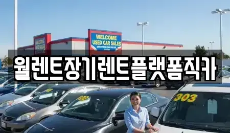 서울특별시 종로구 혜화동 장기렌트카 전문 월렌트장기렌트플랫폼직카