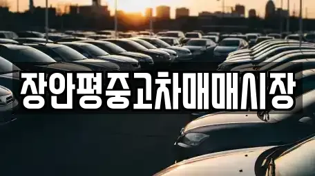 서울특별시 종로구 혜화동 중고차매매 전문 장안평중고차매매시장