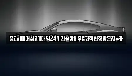 서울특별시 종로구 혜화동 중고차매입 전문 중고차매매최고가매입24시간출장비무료견적현장방문지누카