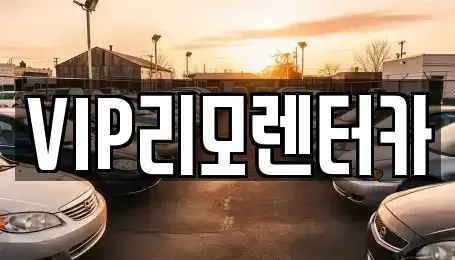 서울특별시 중구 신당동 단기렌트카 전문 VIP리모렌터카