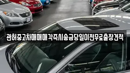 서울특별시 중구 신당동 중고차 전문 관허중고차매매매각즉시송금당일이전무료출장견적