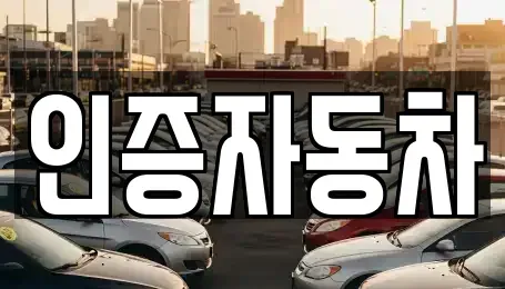 서울특별시 중구 신당동 중고차매매 전문 인증자동차