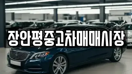 서울특별시 중구 신당동 중고차매매 전문 장안평중고차매매시장