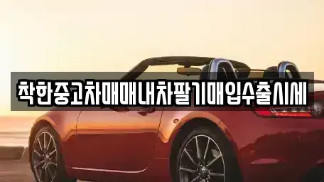 서울특별시 중구 신당동 중고차매매 전문 착한중고차매매내차팔기매입수출시세