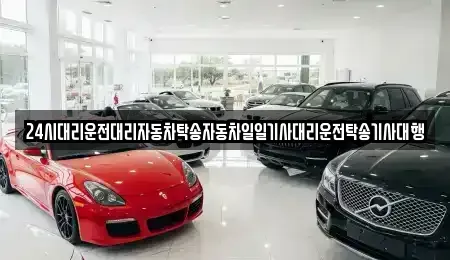 서울특별시 중구 신당동 중고차매입 전문 24시대리운전대리자동차탁송자동차일일기사대리운전탁송기사대행