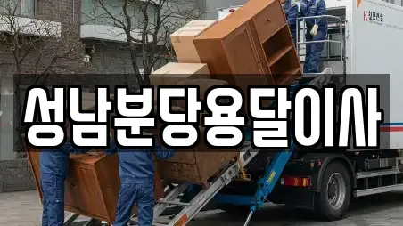 성남분당용달이사
