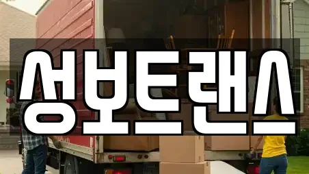 성보트랜스