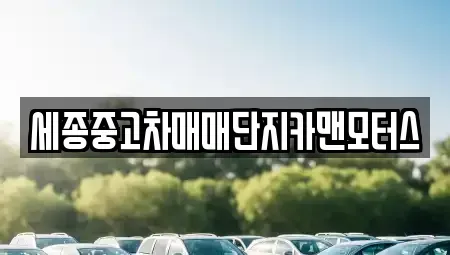 세종특별자치시 조치원읍 중고차 전문 세종중고차매매단지카맨모터스