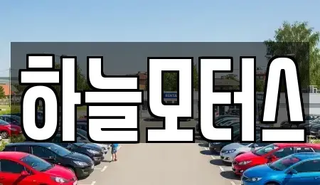 세종특별자치시 조치원읍 중고차 전문 하늘모터스