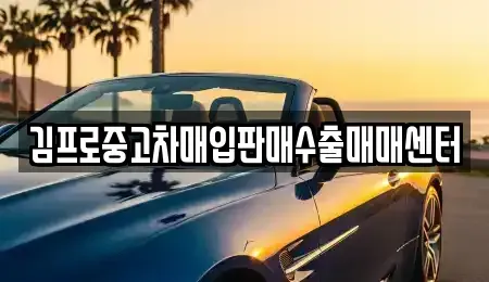 세종특별자치시 조치원읍 중고차매입 전문 김프로중고차매입판매수출매매센터