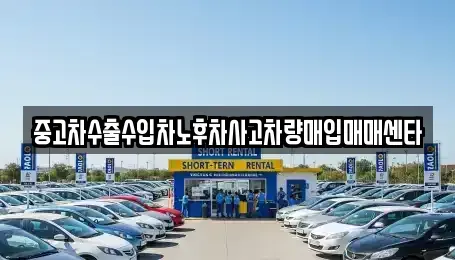 세종특별자치시 조치원읍 중고차매입 전문 중고차수출수입차노후차사고차량매입매매센타