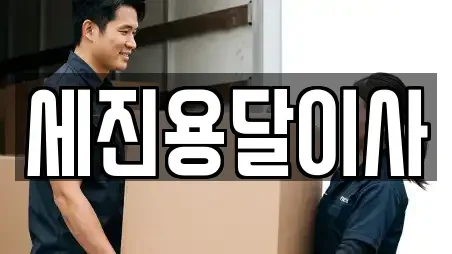 세진용달이사