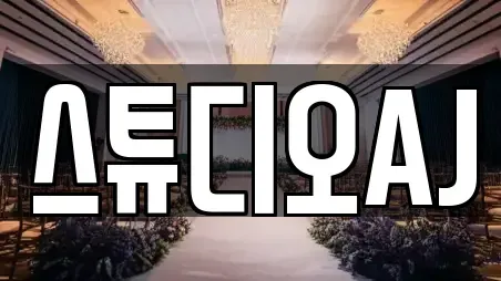 제주 제주시 도평동 인근 스드메 8업체