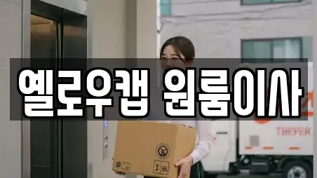 옐로우캡 원룸이사