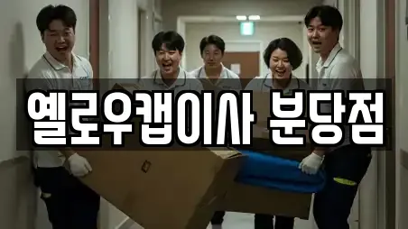 옐로우캡이사 분당점