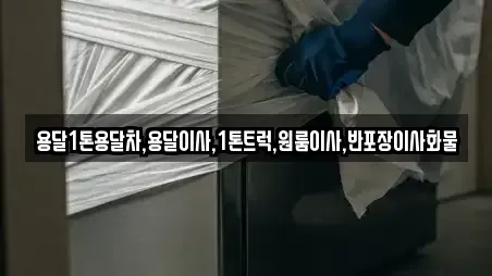 상주시 모서면 포장이사 TOP 5 추천