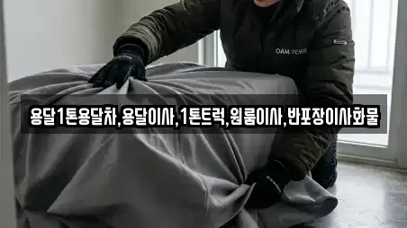 용달1톤용달차,용달이사,1톤트럭,원룸이사,반포장이사화물
