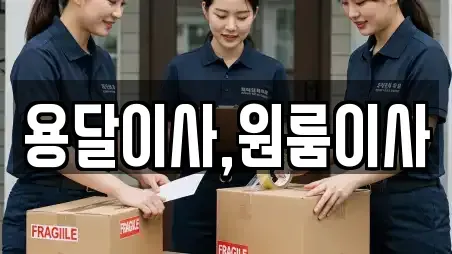 대전광역시 유성구 송강동 원룸이사 베스트 15
