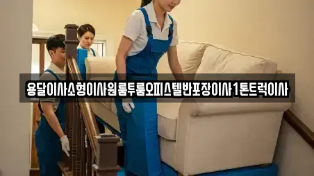 용달이사소형이사원룸투룸오피스텔반포장이사1톤트럭이사