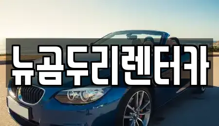 울산 울주군 상북면 렌트카 전문 뉴곰두리렌터카