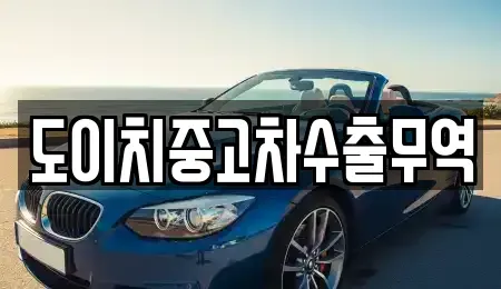 울산 중구 남외동 중고차 전문 도이치중고차수출무역