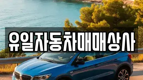 울산 중구 약사동 중고차 전문 유일자동차매매상사