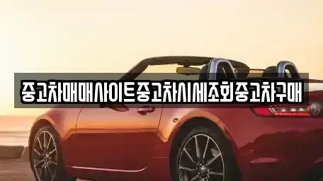 울산 중구 약사동 중고차 전문 중고차매매사이트중고차시세조회중고차구매