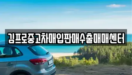울산 중구 약사동 중고차매입 전문 김프로중고차매입판매수출매매센터