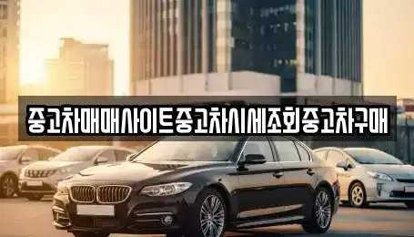 인천 옹진군 북도면 중고차매매 전문 중고차매매사이트중고차시세조회중고차구매