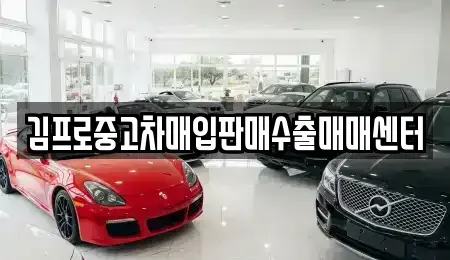 인천 중구 경동 중고차매매 전문 김프로중고차매입판매수출매매센터