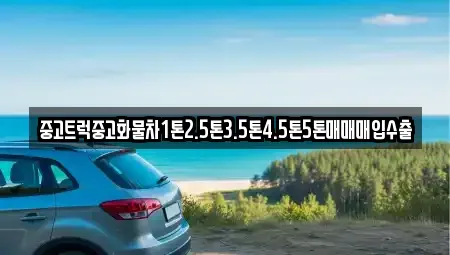 인천 중구 경동 중고차매매 전문 중고트럭중고화물차1톤2.5톤3.5톤4.5톤5톤매매매입수출