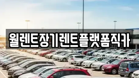 인천광역시 서구 검암동 장기렌트카 전문 월렌트장기렌트플랫폼직카