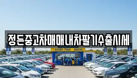 인천광역시 서구 검암동 중고차매매 전문 정든중고차매매내차팔기수출시세