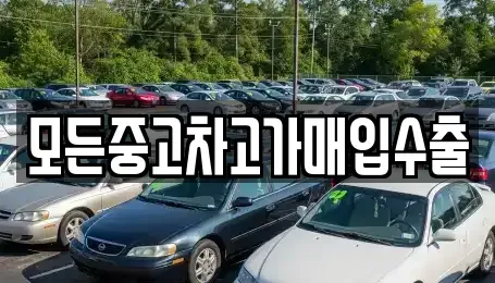인천광역시 서구 검암동 중고차매입 전문 모든중고차고가매입수출