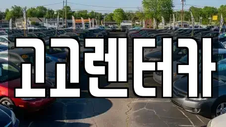 인천광역시 서구 청라동 장기렌트카 전문 고고렌터카