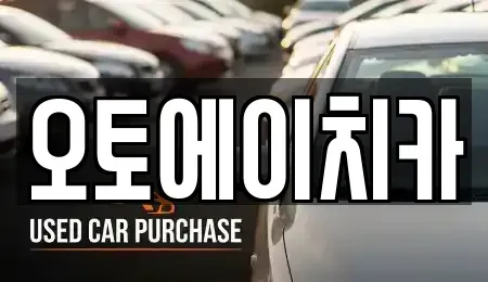인천광역시 서구 청라동 장기렌트카 전문 오토에이치카