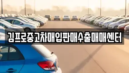 인천광역시 서구 청라동 중고차매입 전문 김프로중고차매입판매수출매매센터