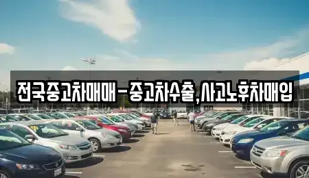 인천광역시 서구 청라동 중고차매입 전문 전국중고차매매-중고차수출,사고노후차매입