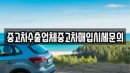 인천광역시 서구 청라동 중고차매입 전문 중고차수출업체중고차매입시세문의
