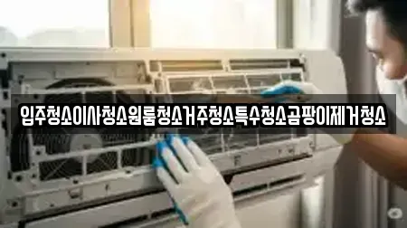 입주청소이사청소원룸청소거주청소특수청소곰팡이제거청소