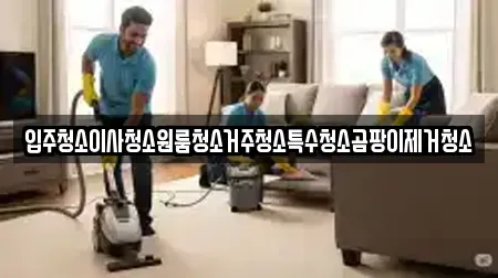 입주청소이사청소원룸청소거주청소특수청소곰팡이제거청소