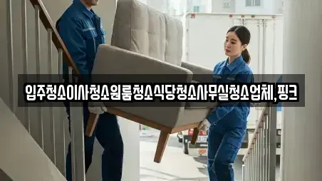 입주청소이사청소원룸청소식당청소사무실청소업체,핑크