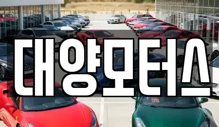 전남 목포시 보광동2가 중고차 전문 대양모터스