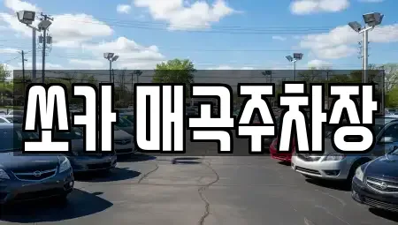 전남 순천시 용당동 렌트카 전문 쏘카 매곡주차장