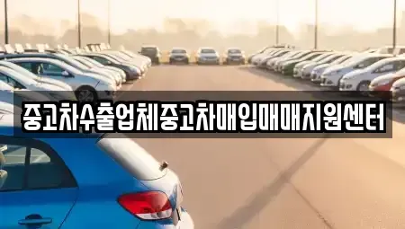 전남 여수시 시전동 중고차매입 전문 중고차수출업체중고차매입매매지원센터