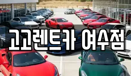 전남 여수시 중앙동 렌트카 전문 고고렌트카 여수점