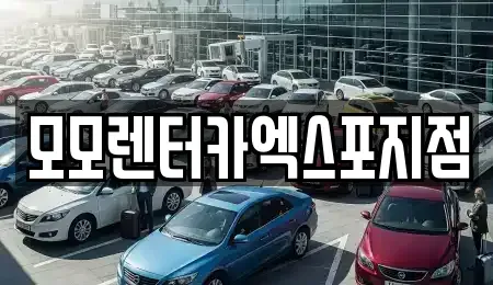 전남 여수시 중앙동 렌트카 전문 모모렌터카엑스포지점