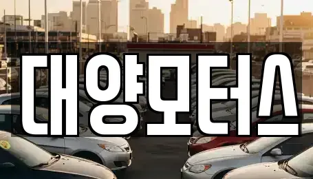 전남 여수시 중앙동 중고차 전문 대양모터스