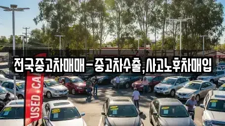 전남 여수시 중앙동 중고차매매 전문 전국중고차매매-중고차수출,사고노후차매입