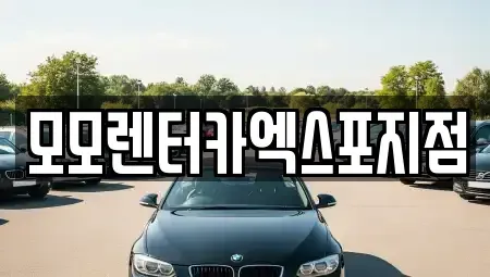 전라남도 여수시 군자동 렌트카 전문 모모렌터카엑스포지점